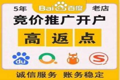 SEM竞价托管代运营助力业绩倍增
